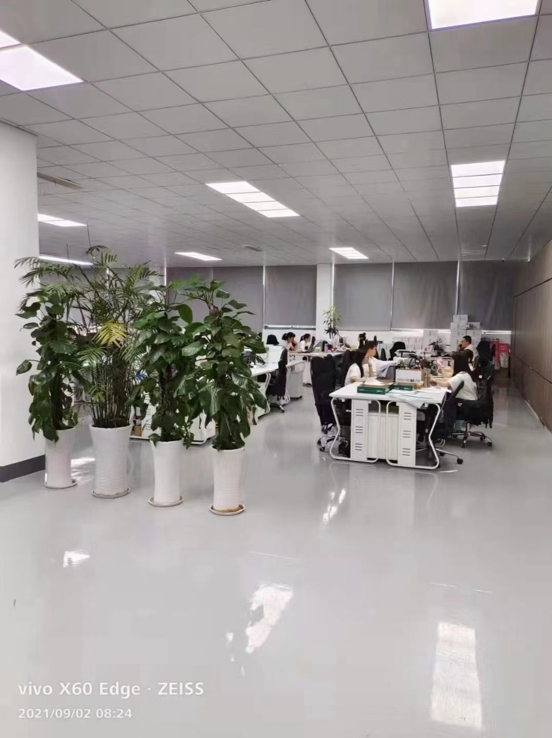 工装，家装，全屋定制，玩球官网是专业的…………